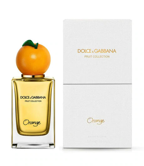 Dolce gabbana orange Clearance