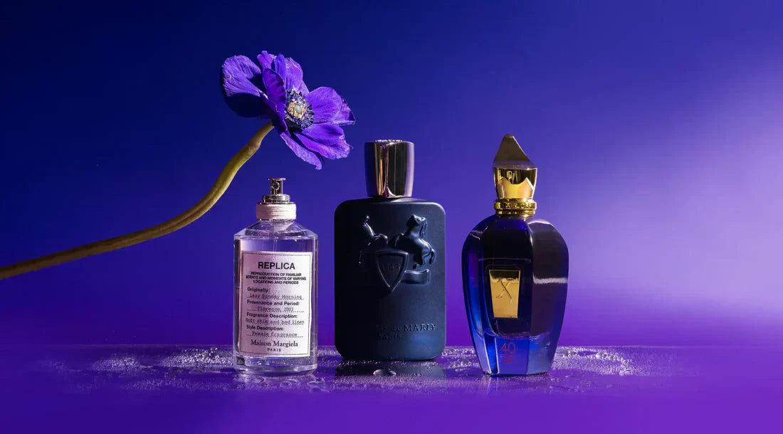 Niche Fragances