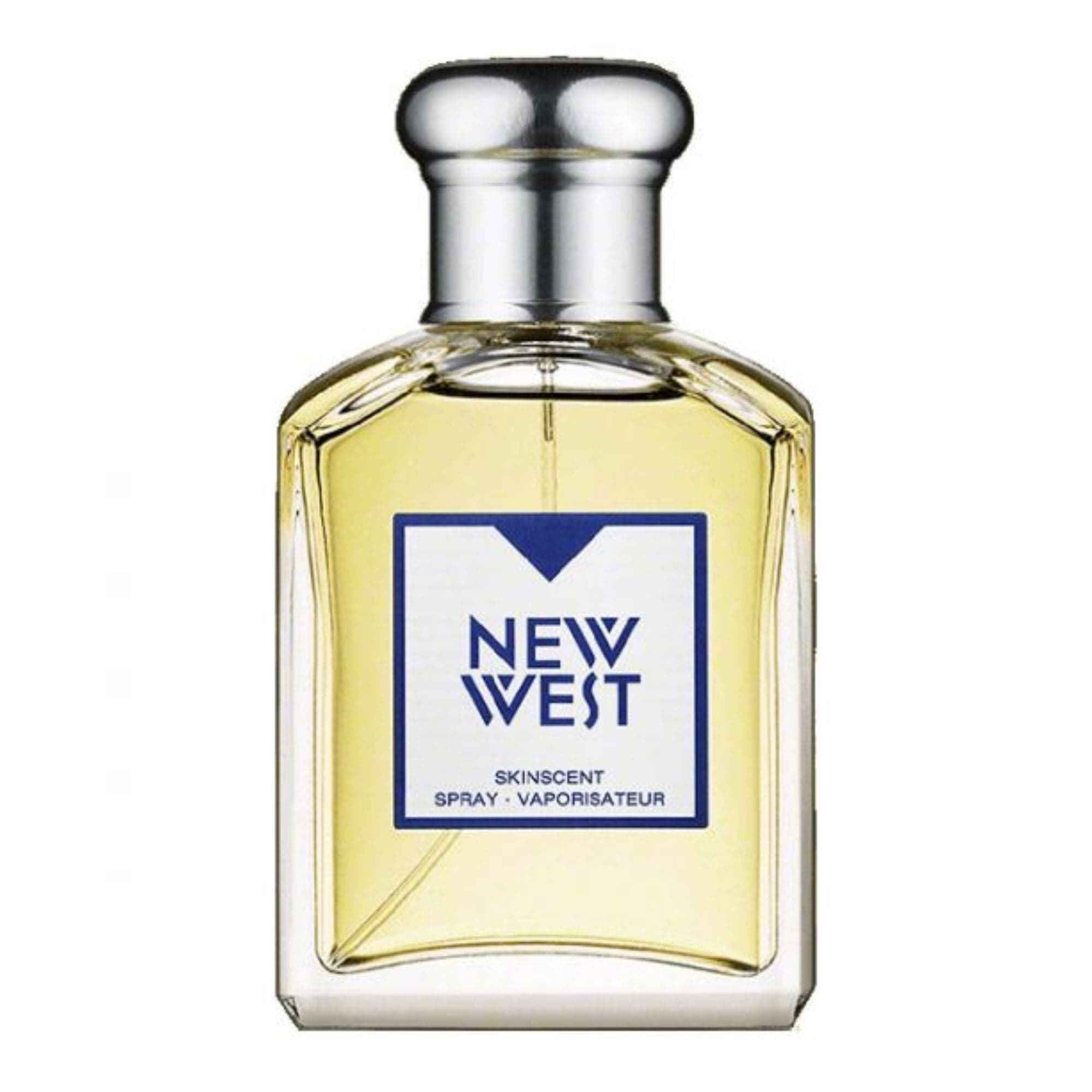 Aramis New West for Him Men’s Perfume/Cologne For Men Eau de Cologne 3.4 oz Edt