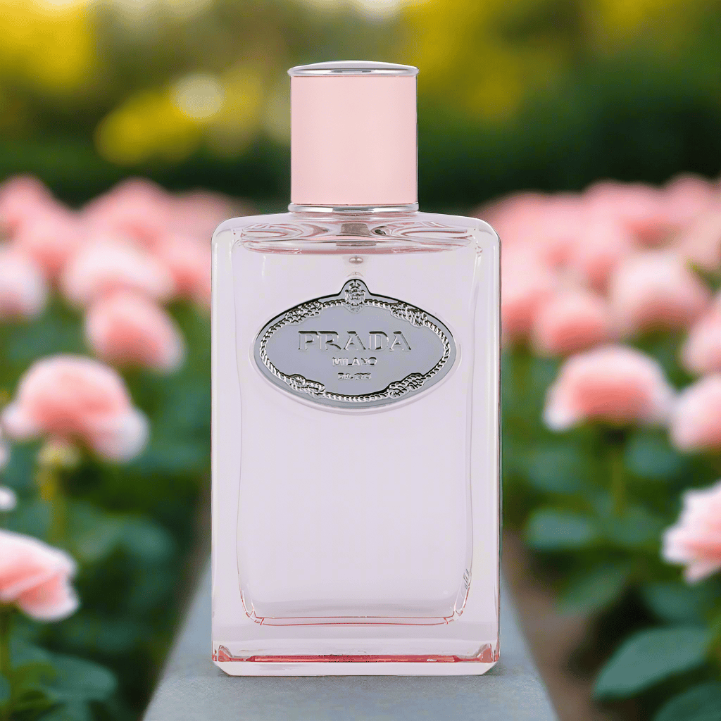 Prada Infusion de Rose Women's Perfume/Cologne For Her Eau De Parfum 3.4 oz / 6.8 oz Edp