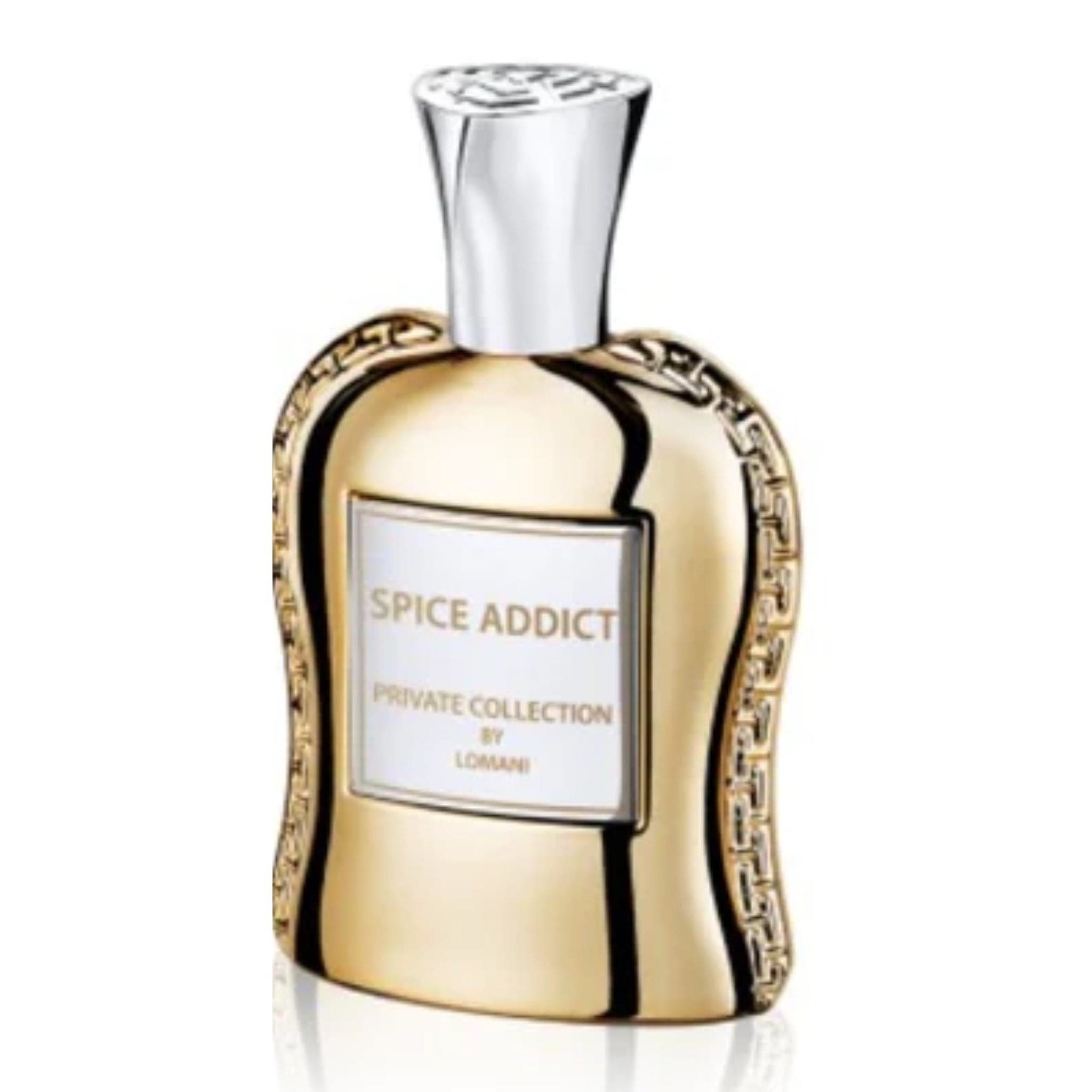 Lomani Spice Addict - For Men Eau de Parfum– Fandi Perfume