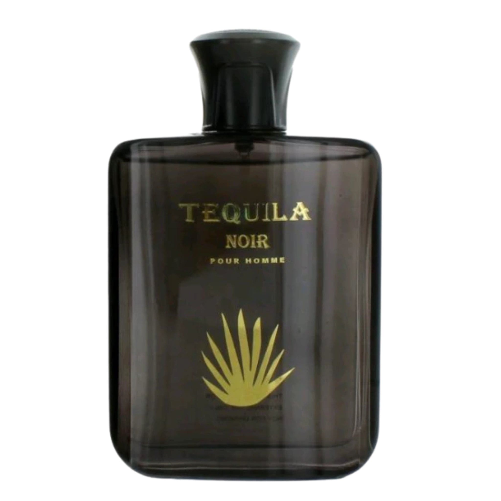 Tequila Perfumes Tequila Noir Cologne For Men Eau De Parfum Spray 3.4 Oz / Gift Set 3.4 oz Edp